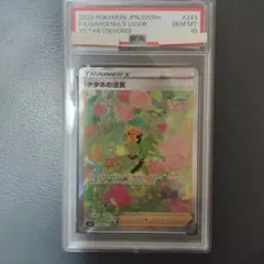 ポケカ　ナタネの活気　SAR PSA10