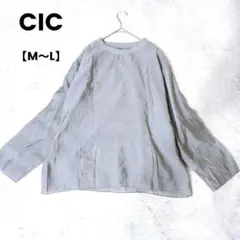 Item thumbnail for item 98cfcd92-0acd-49a6-bbc7-5e5fe343db04