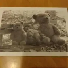 Item thumbnail for item 1456161e-2320-4eae-a872-9b8bdd5c8356