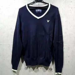 【送料込】Ｓ★アメリカンイーグル NV 胸ロゴ刺繍 Vネックセーター★