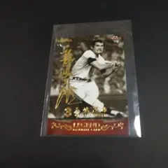 2026年最新】BBMカード長嶋茂雄の人気アイテム - メルカリ