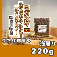 Item thumbnail for item 623c95d4-88af-4473-9741-c1c5d7473043