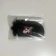 Item thumbnail for item 270b33f3-182c-4f56-aa59-7c9cd2d37c8b