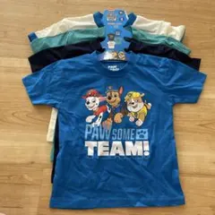 【新品】パウパトロール95 4枚セットのサムネイル