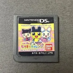 ZC333★ DSソフト たまごっちのなりきりチャレンジ 動作◯