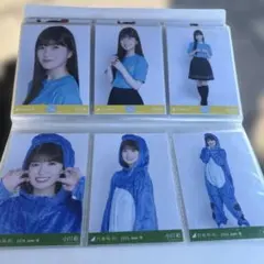 2026年最新】乃木坂46 生写真 小川彩 アニマルルームウェアの人気