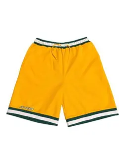 VISION STREET WEAR メッシュショーツ Lのサムネイル