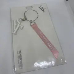 SEVENTEEN キーホルダー　2020ドームツアー　東京