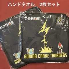 【新品未開封】群馬クレインサンダーズ　来場特典ハンドタオル　2枚セット