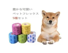 Item thumbnail for item 6e87a03b-b929-4874-b384-1c92994088f9