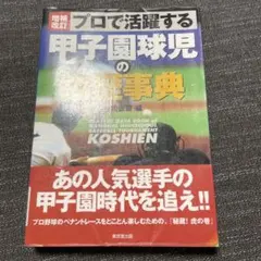 Item thumbnail for item 80b40abb-c229-4940-bd35-2849d8eac351