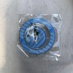 真中まな ゆらゆらアクスタ FRUITS ZIPPER