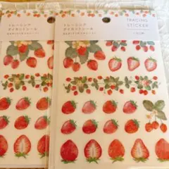 Item thumbnail for item 9eafa1c2-e5b0-435f-8787-50500d54b7f8