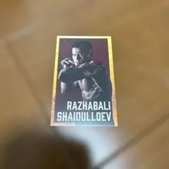 RIZIN 選手カード シェイドゥラエフ