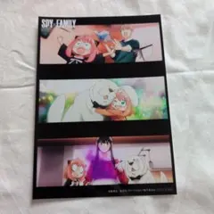 スパイファミリー　ロイド　ヨル　アーニャ　ボンド　2L判ブロマイド