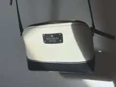 Item thumbnail for item 47e29916-87fe-4143-ad9f-c0c31015fc74