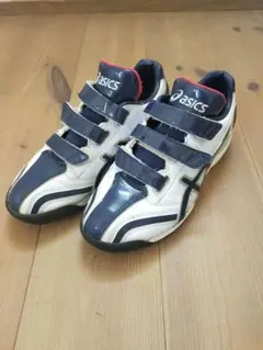 Item thumbnail for item 003bb57f-90d6-4370-b17b-55b6bf76f295