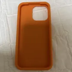 BOTTEGA VENETA iPhoneケース　iPhone 13 Pro