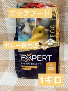 Item thumbnail for item 1dcbf902-b056-4904-8411-879f33174cc7