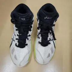 Item thumbnail for item dc98a1f5-1a24-49cf-8f19-d2a5aa05ad3c