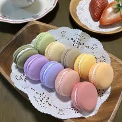 おすし様専用⭐︎フェイクマカロン10色×各１個