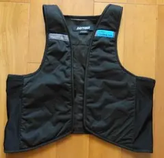 DAYTONA Wet Cool Vest フリーサイズのサムネイル
