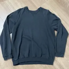 02AW ラフシモンズ 初期 スウェット 48 Virginia Creeperのサムネイル