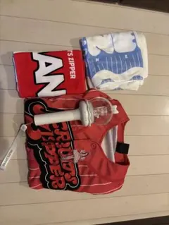 FRUITSZIPPER月足天音グッズ