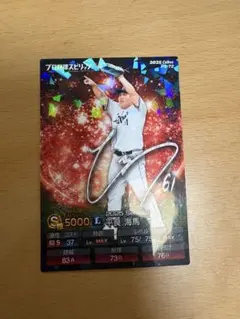 プロ野球チップス　平良海馬