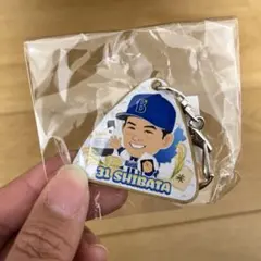 Item thumbnail for item 762e622b-53c2-46b7-b58d-248144dbe569