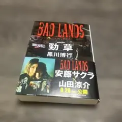 BAD LANDS 黒川博行 文庫本