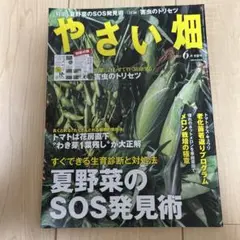 やさい畑2021年6月 初夏号 まとめ買い歓迎