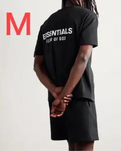 SHORT SLEEVE TEE / Jet Black M