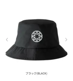 Item thumbnail for item 379c2184-0a40-4472-a732-c7faec95ae7c