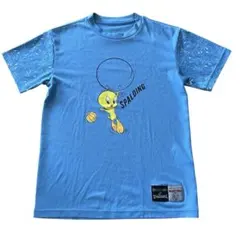 Tシャツ2枚セット SPALDING トゥイーティー Champion バスケ