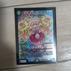 m70488054907_1.jpg?1771829290