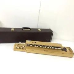 2026年最新】琴伝流大正琴の人気アイテム - メルカリ