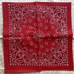HAV-A-HANK 17インチ バンダナ Red