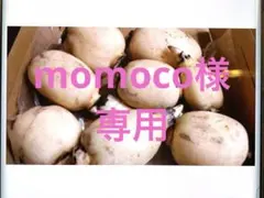 momoco様専用