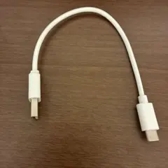 USB Type A to Type Cケーブル 0.1m