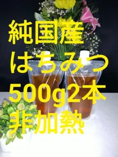希少！純国産はちみつ鹿児島県南薩摩養蜂園蜂蜜計1kg甑島・喜界島・三島村・非加熱のサムネイル