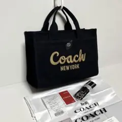 COACHコーチ カーゴト34 2way ショルダーバッグ CP158 新品