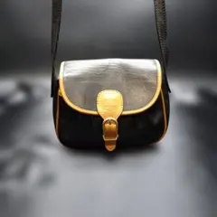 ⭐️希少⭐️CELINE ミニショルダーバッグ トリオンフ