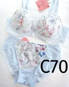 ワコール ルジェ ブラジャーE70 &ショーツM 水色花柄レースリボン