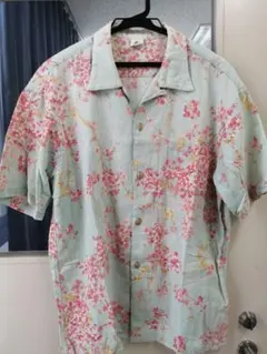 Item thumbnail for item 4f0cc7fb-f061-4d52-9482-a4bfa33f93a2