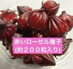 2025年最新】ローゼルティーの人気アイテム - メルカリ