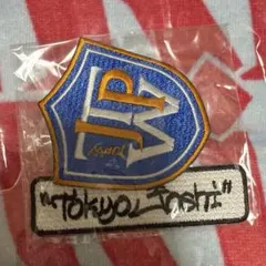 東京女子プロレス TJPW ワッペン2個セット