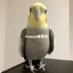 Komai様専用