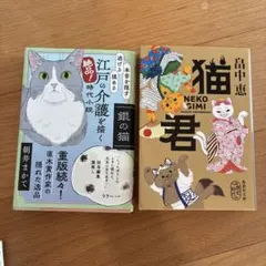 猫君　銀の猫