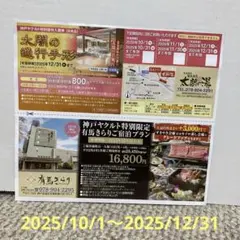 有馬温泉優待入館券 太閤の湯